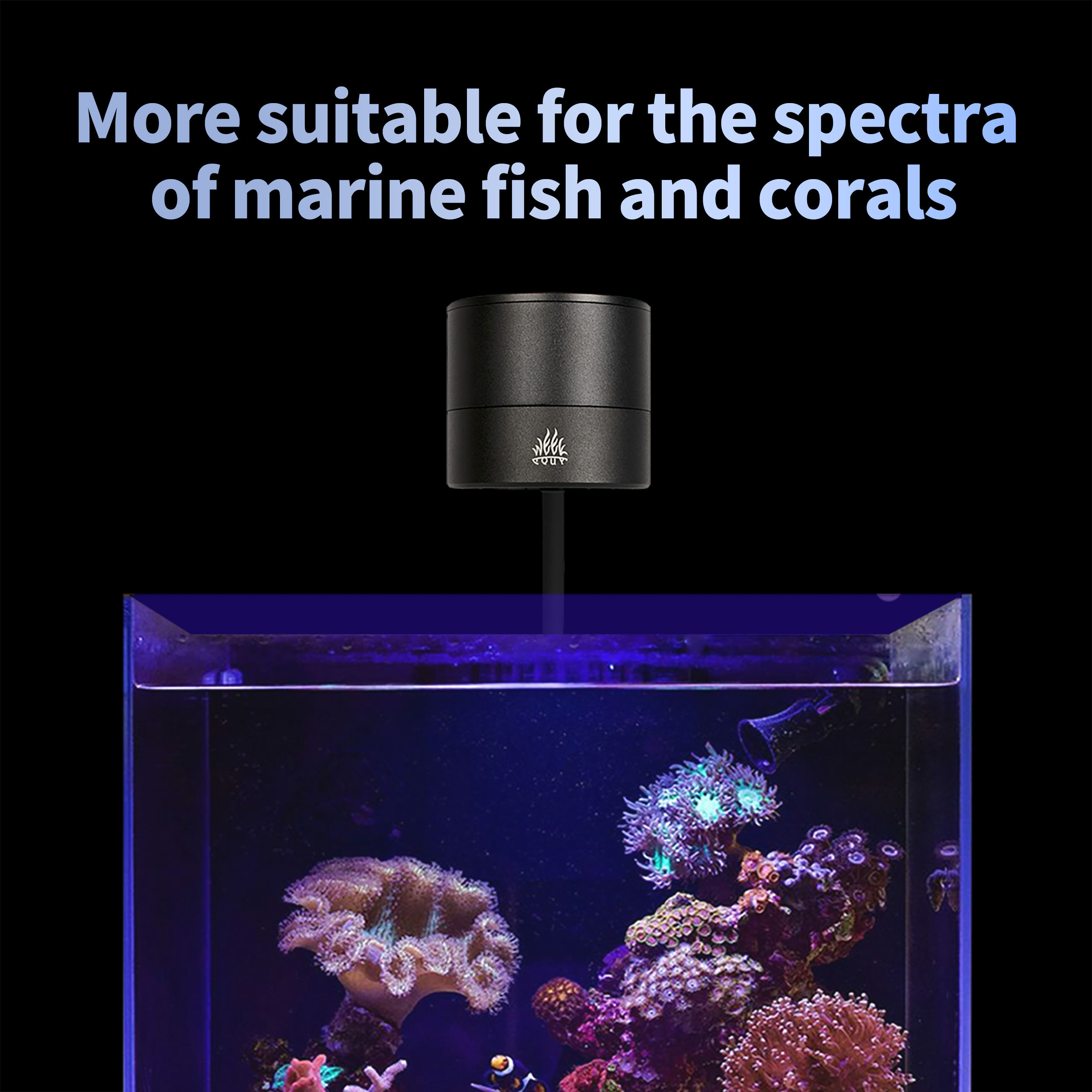 Marine Aquarium Timing - T95 Sea 50W Pełnospektralne Morskie Oświetlenie