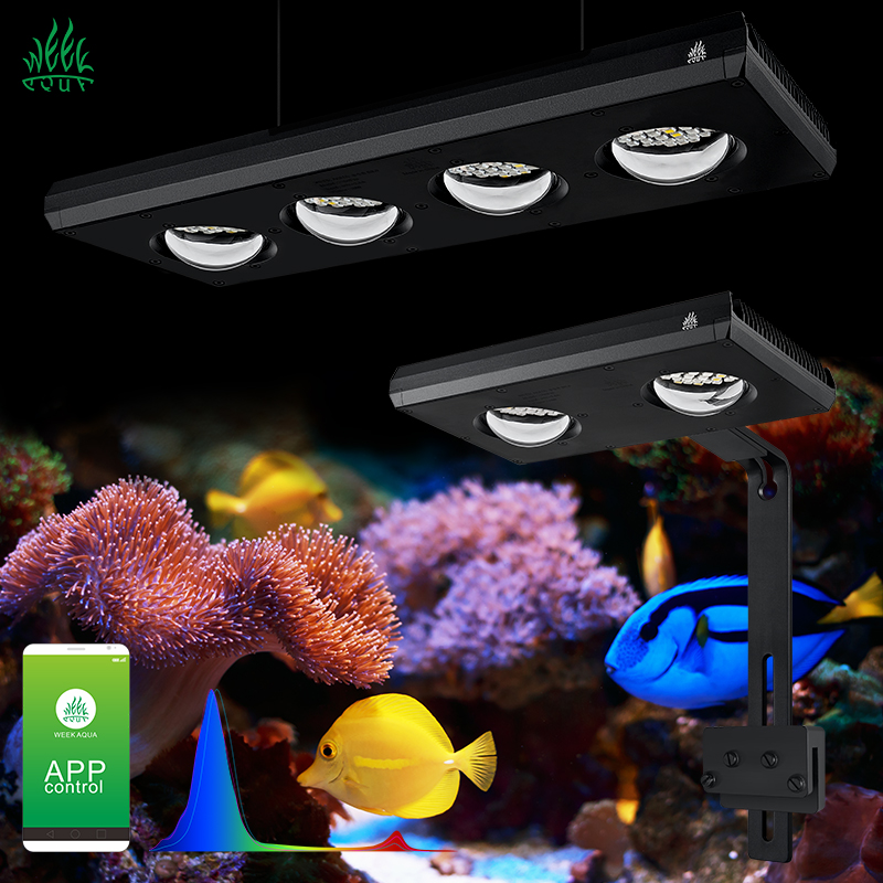 Marine Aquarium For Sale - ZXY Gorąca Wyprzedaż WEEKAQUA Z250 Z400sea