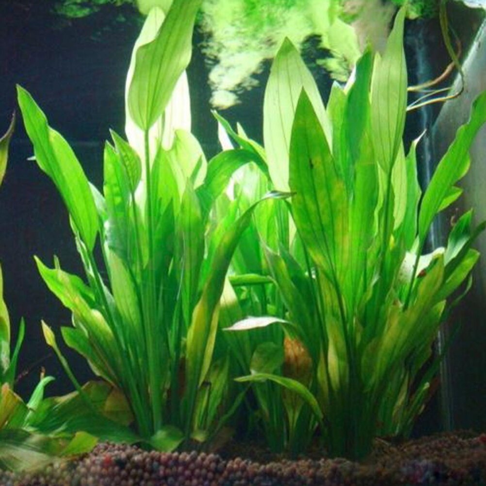 Marine Aquarium For Sale - 15cm sztuczne akwarium rośliny dekoracyjne ozdobne