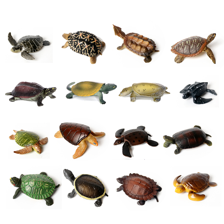 Marine Aquarium & Regional Centre Reviews - Realistyczne miniatury życie morskie żółwiem morskim