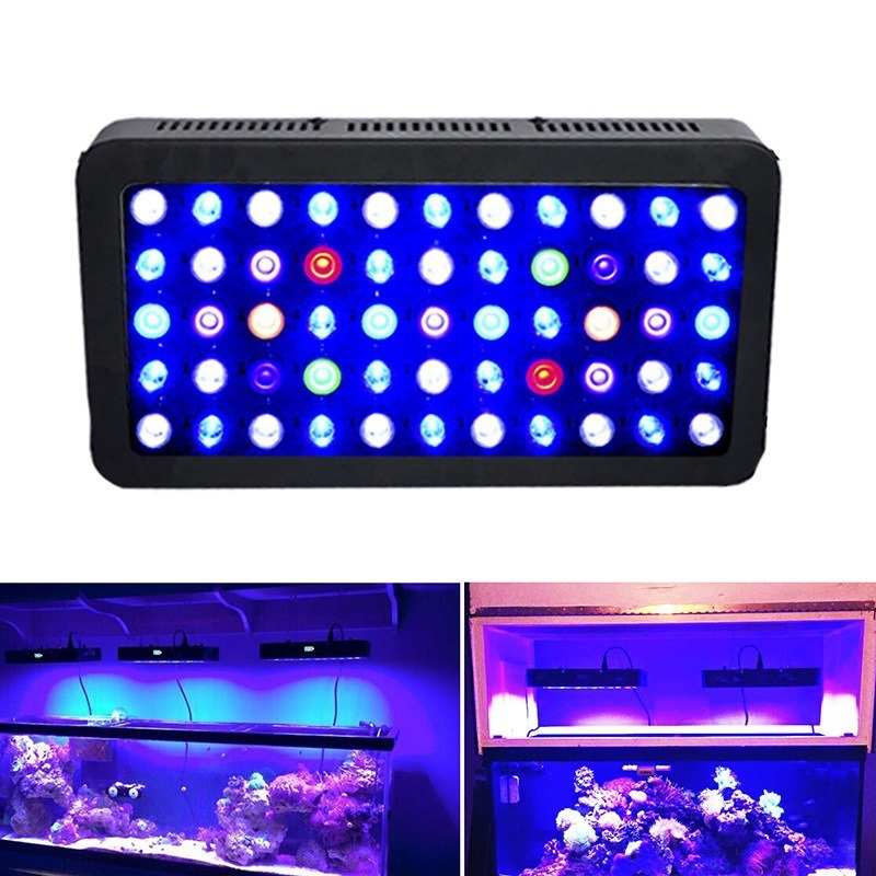 Lampa akwariowa 165W z funkcją – Marine Aquarium Timing recenzja i cena