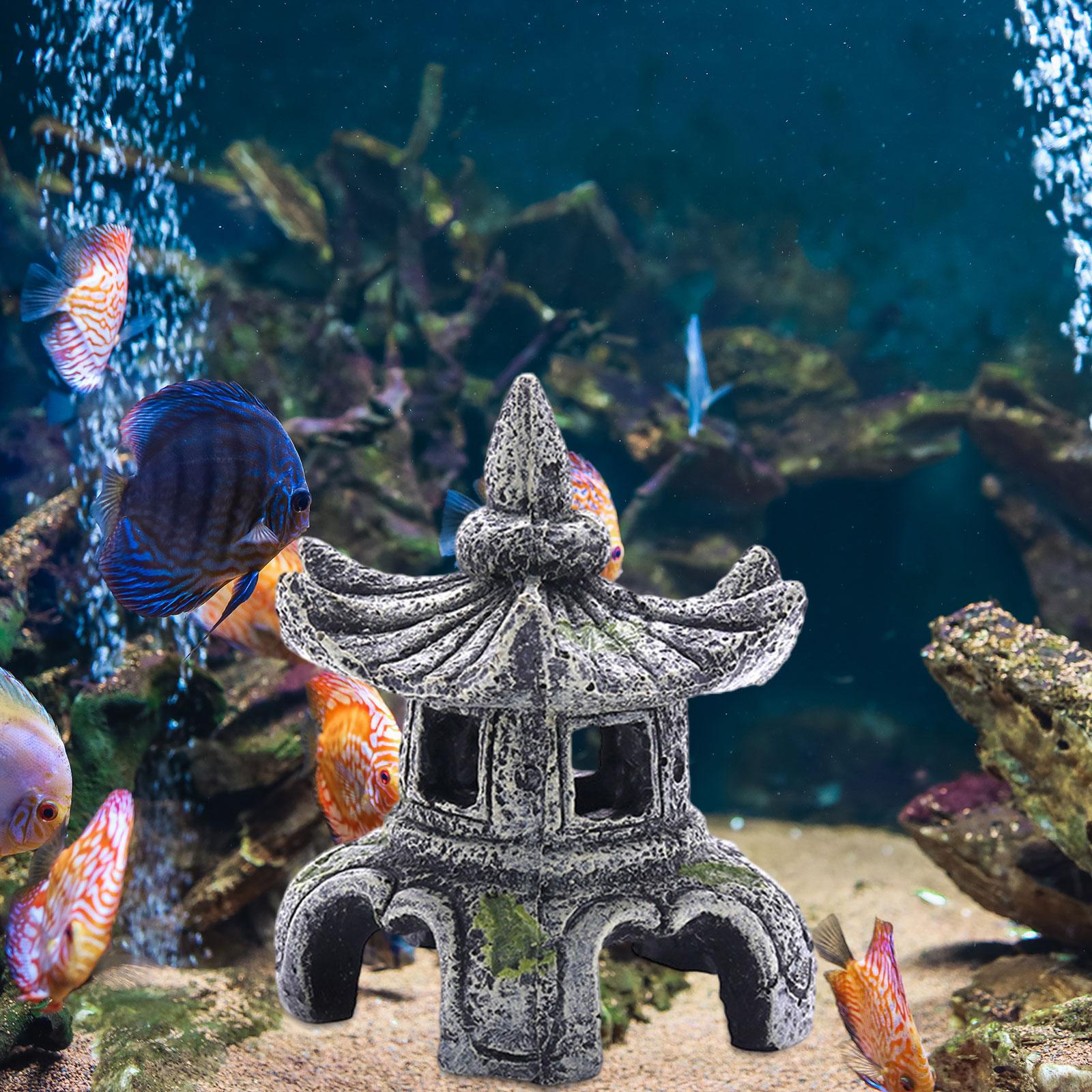 Ozdoba akwariowa Akcesoria akw – Marine Aquarium For Sale recenzja i cena