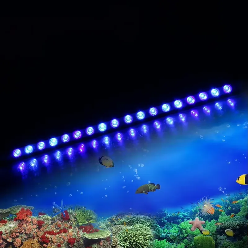 Ściemnialna lampa LED do akwar – Marine Aquarium Timing recenzja i cena