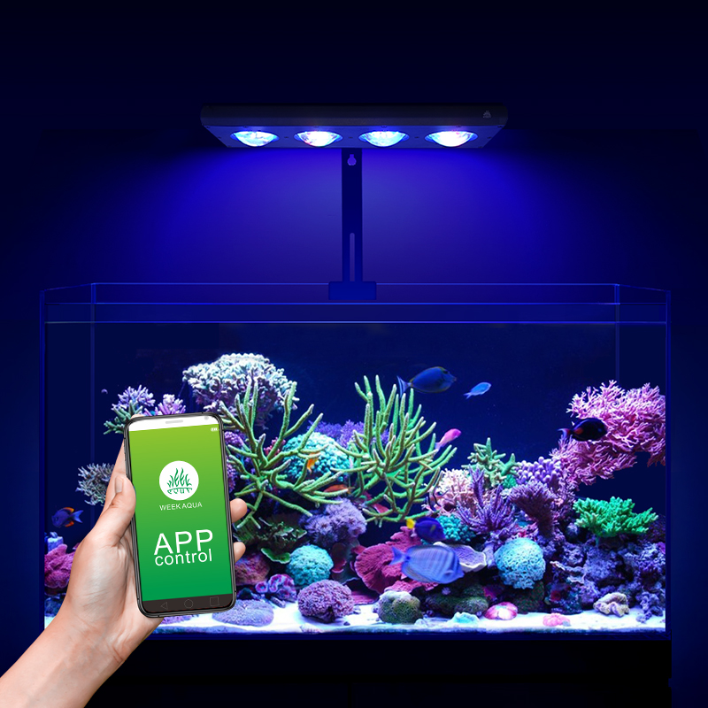 ZXY Gorąca Wyprzedaż WEEKAQUA  – Marine Aquarium For Sale recenzja i cena