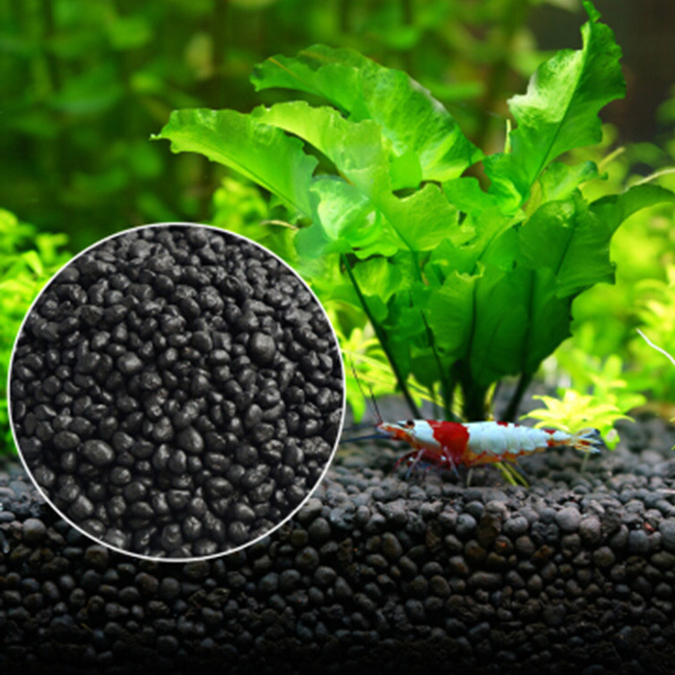 Roślina akwariowa nasiona gleb – Aquarium Marine Sand recenzja i cena