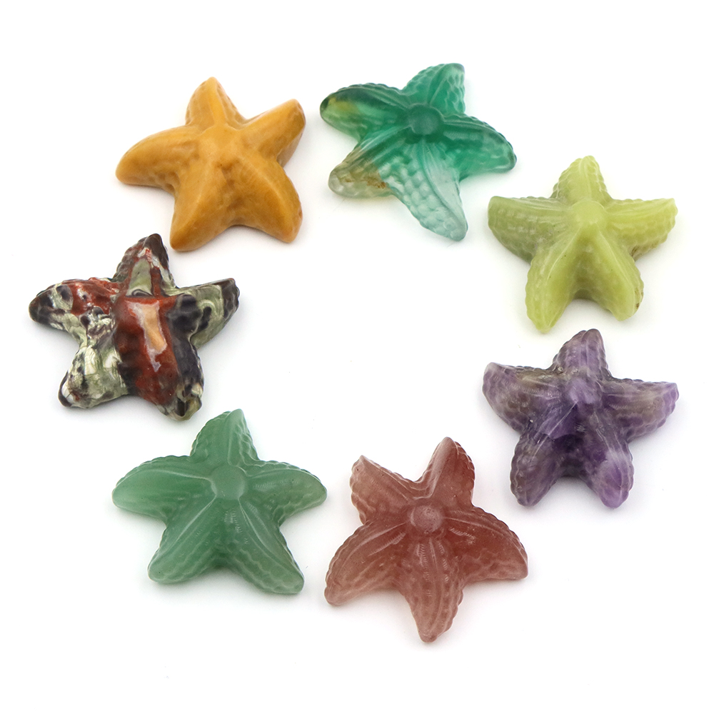 Figurka rozgwiazdy 35 mm, kszt – Marine Aquarium & Regional Centre Reviews recenzja i cena