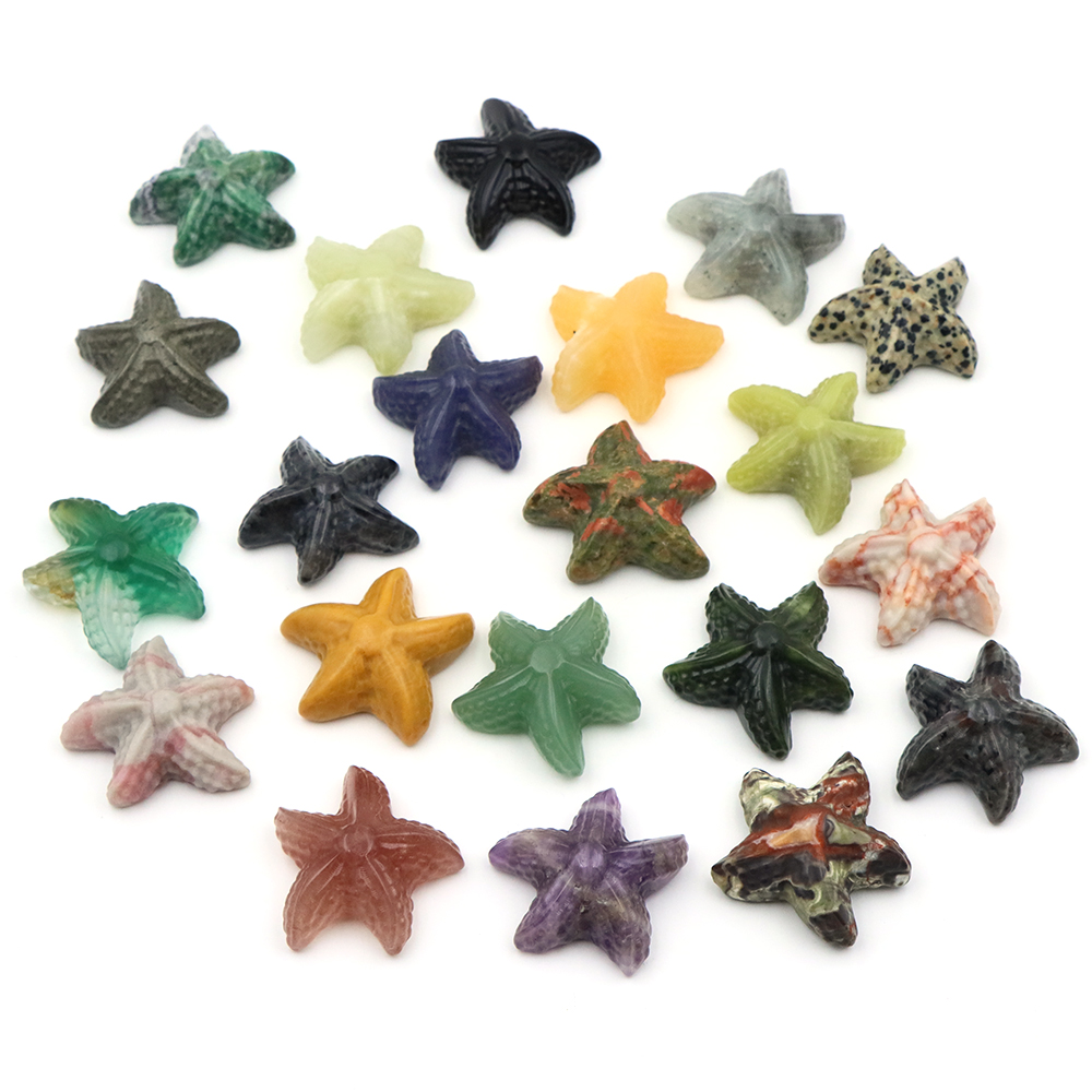 Figurka rozgwiazdy 35 mm, kszt – Marine Aquarium & Regional Centre Reviews recenzja i cena
