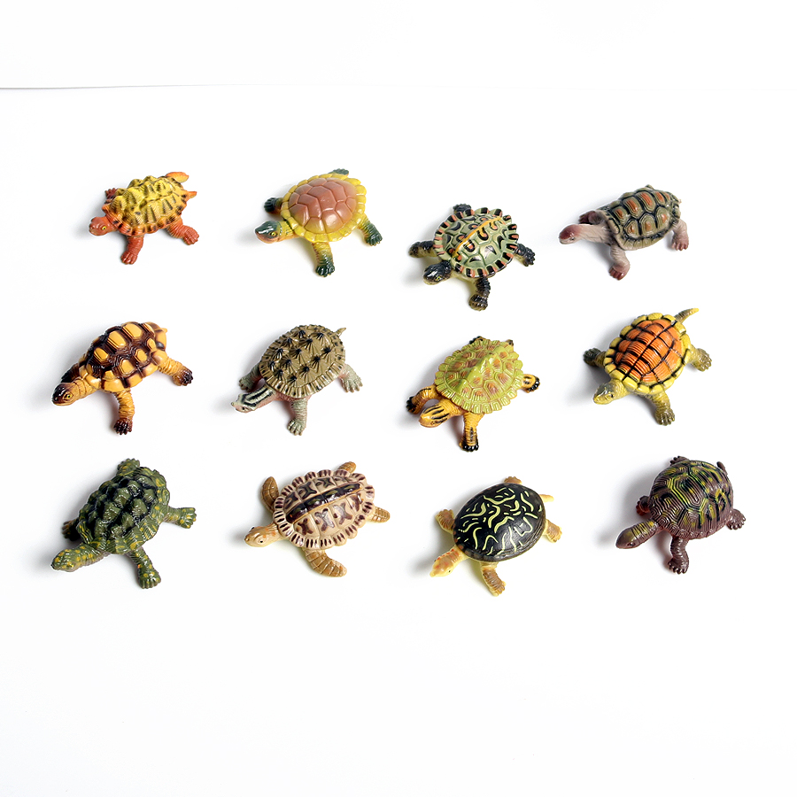 Realistyczne miniatury życie m – Marine Aquarium & Regional Centre Reviews recenzja i cena