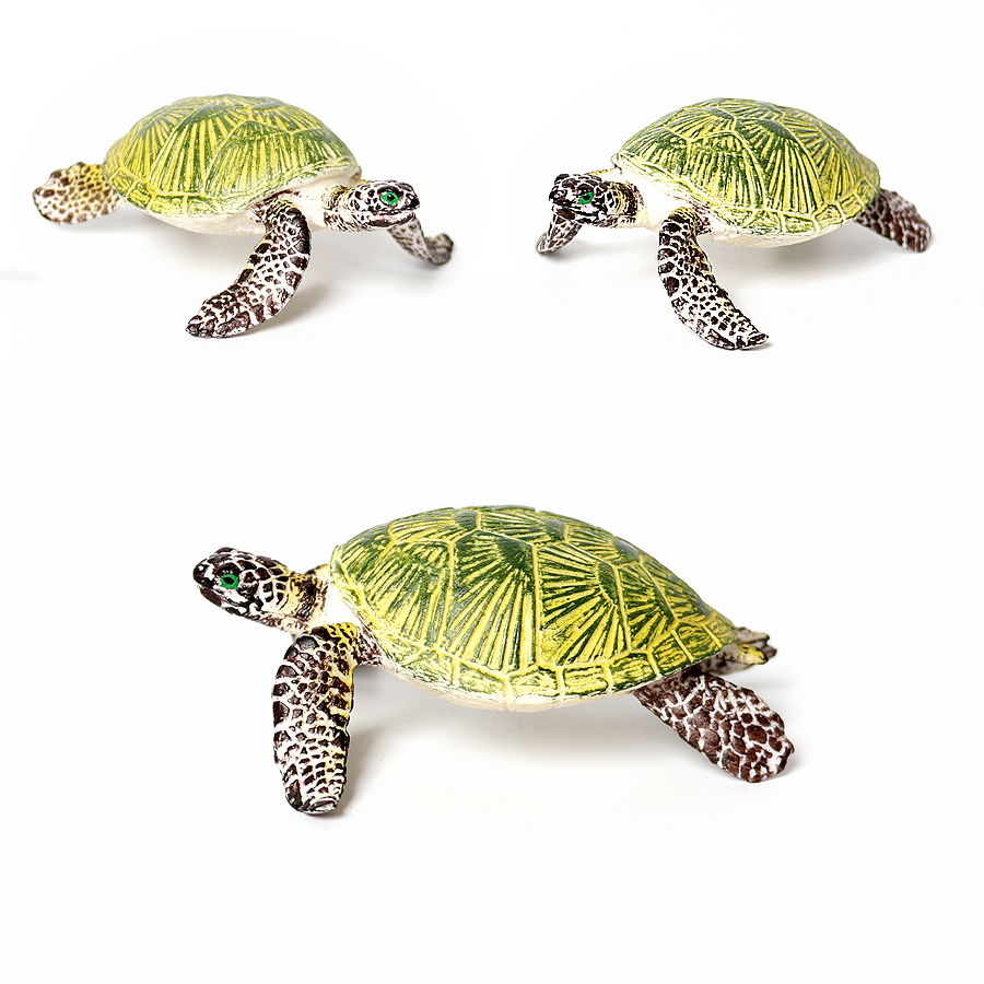 Realistyczne miniatury życie m – Marine Aquarium & Regional Centre Reviews recenzja i cena